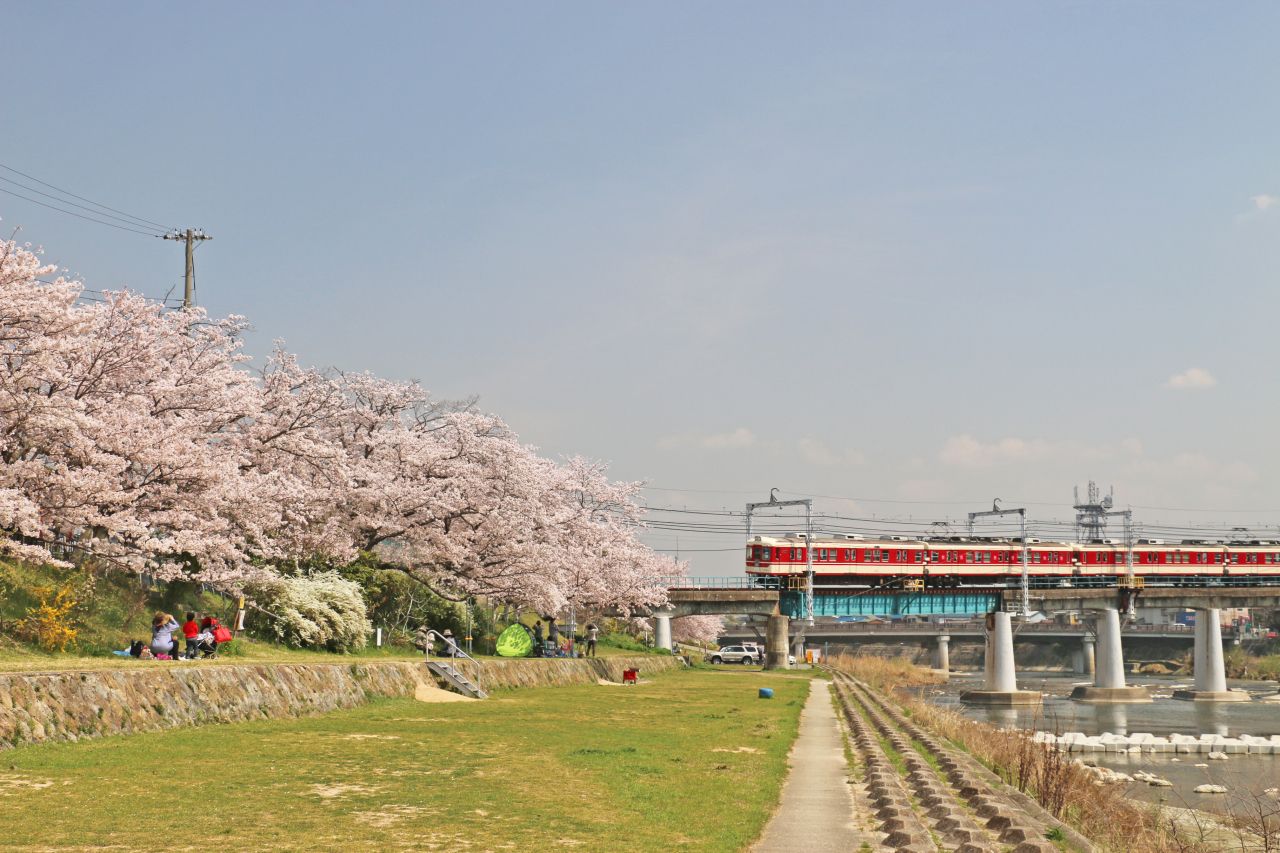美嚢川リバーサイドパーク(桜)_2018.4.3